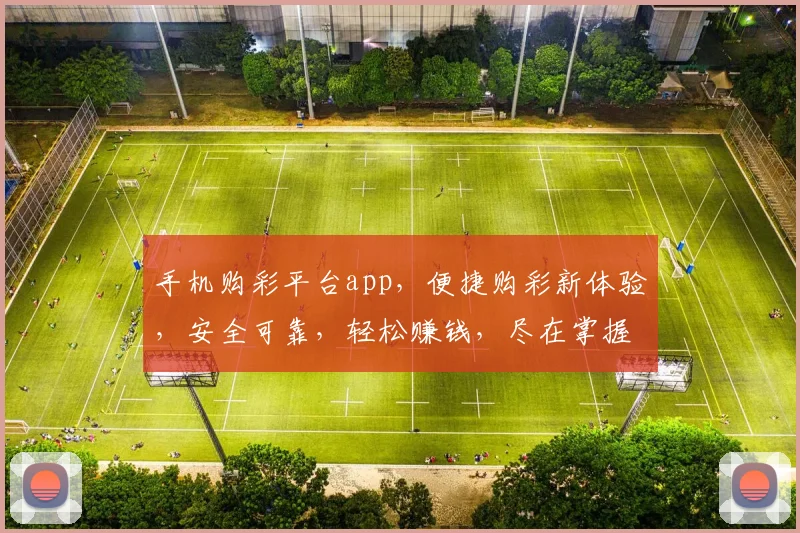 手机购彩平台app，便捷购彩新体验，安全可靠，轻松赚钱，尽在掌握，快来体验