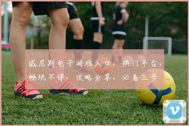 威尼斯电子游戏入口，热门平台，畅玩不停，攻略分享，必看三步
