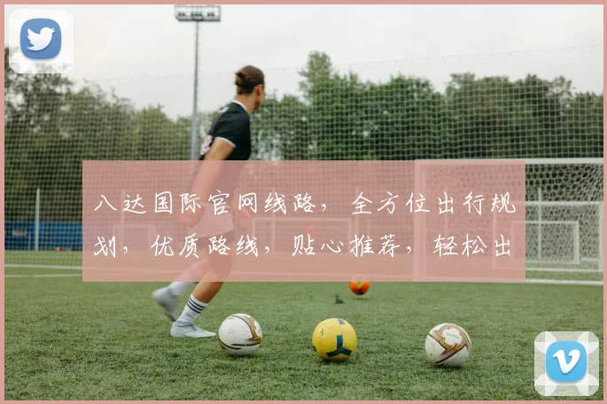 八达国际官网线路，全方位出行规划，优质路线，贴心推荐，轻松出行